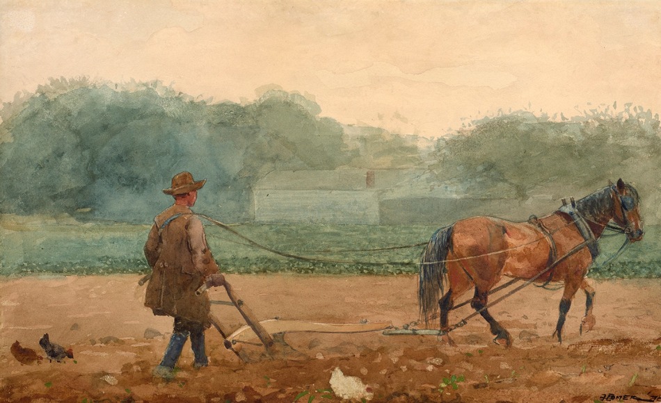 farm scene