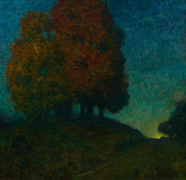 nocturnal landscape