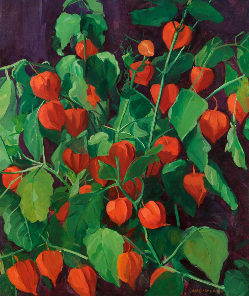 Jane Peterson (1876-1965) &nbsp;&nbsp;&nbsp;&nbsp;&nbsp;&nbsp;&nbsp;&nbsp;&nbsp;&nbsp;&nbsp;&nbsp;&nbsp;&nbsp;&nbsp;&nbsp;&nbsp;&nbsp;&nbsp;&nbsp;&nbsp;&nbsp;&nbsp;&nbsp;&nbsp;, Japanese Lanterns&nbsp; &nbsp; &nbsp; &nbsp; &nbsp; &nbsp; &nbsp; &nbsp; &nbsp;&nbsp;