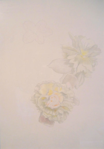 Joseph Stella (1877-1946), White Tuberose Begonia, circa 1920