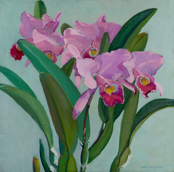 Jane Peterson (1876-1965) &nbsp;&nbsp;&nbsp;&nbsp;&nbsp;&nbsp;&nbsp;&nbsp;&nbsp;&nbsp;&nbsp;&nbsp;&nbsp;&nbsp;&nbsp;&nbsp;&nbsp;&nbsp;&nbsp;&nbsp;&nbsp;&nbsp;&nbsp;&nbsp;&nbsp;, Iris&nbsp;&nbsp;&nbsp;