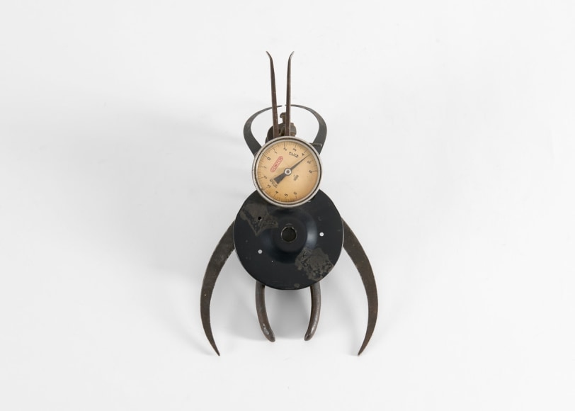 despont insect sculpture
