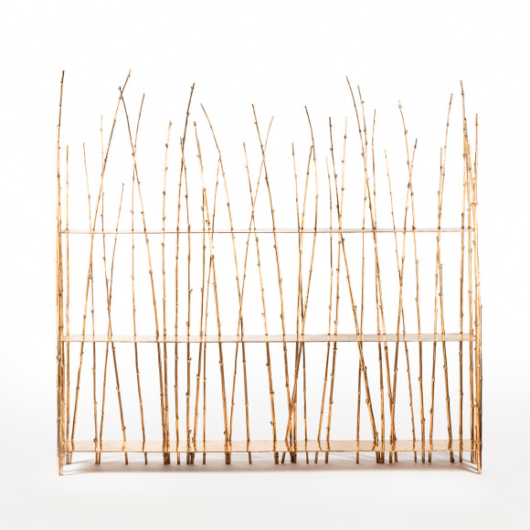 Visconti bookshelves