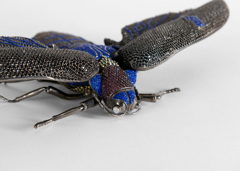 Matthew Campbell Laurenza