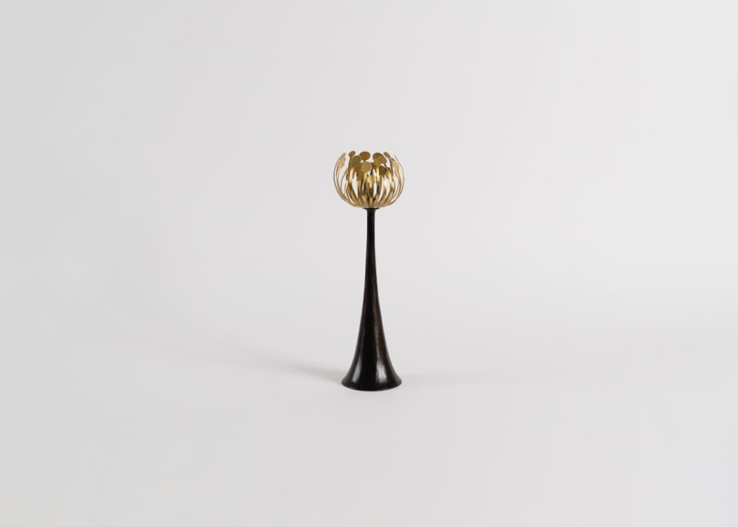 Herv&eacute; van der Straeten