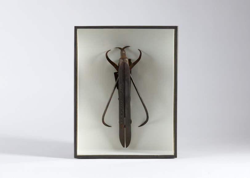 despont insect sculpture