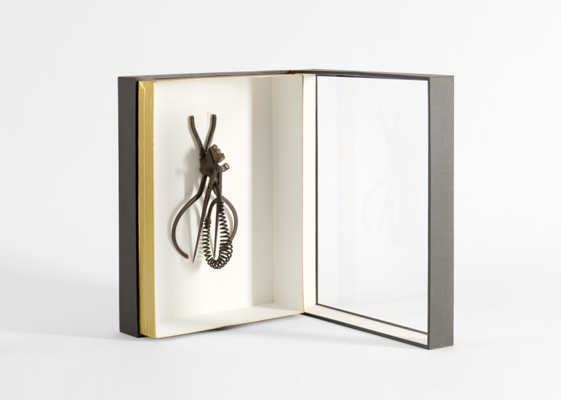 despont sculpture insect