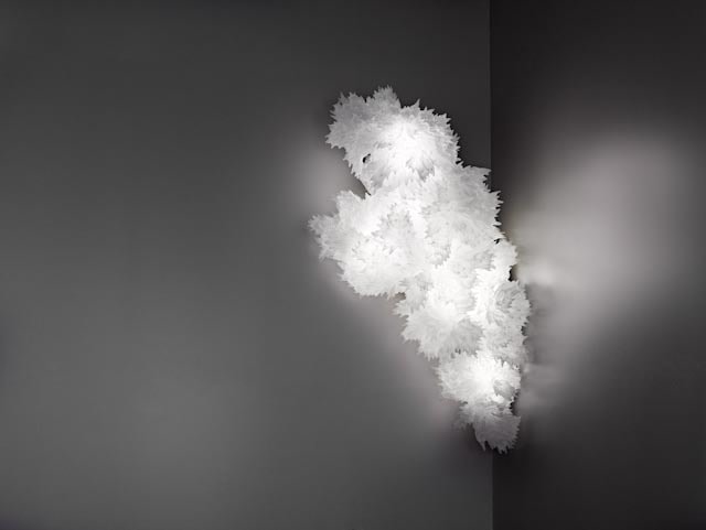 Joy of Transition at the Mint Museum