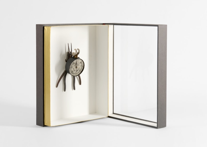 despont insect sculpture