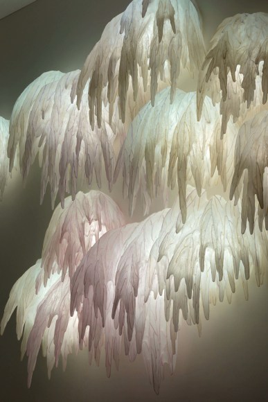 Entudia serfaty lighting