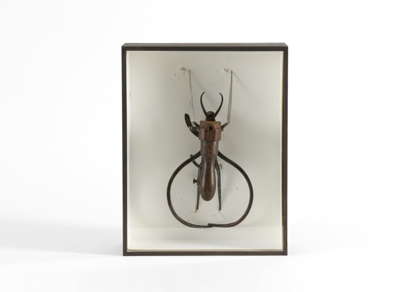 insect sculpture despont