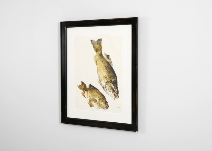 despont fish painting