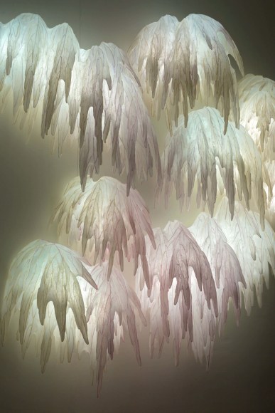 Entudia serfaty lighting