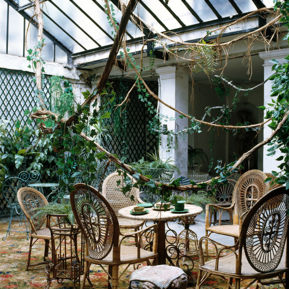 photo outdoor garden