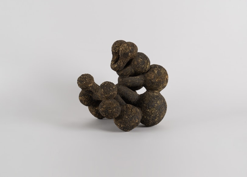 Jaime Rodriguez Crespo