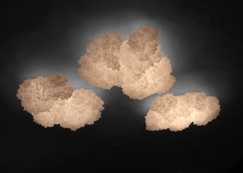 Ayala pieces ensemble