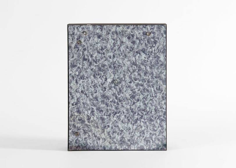 despont insect sculpture