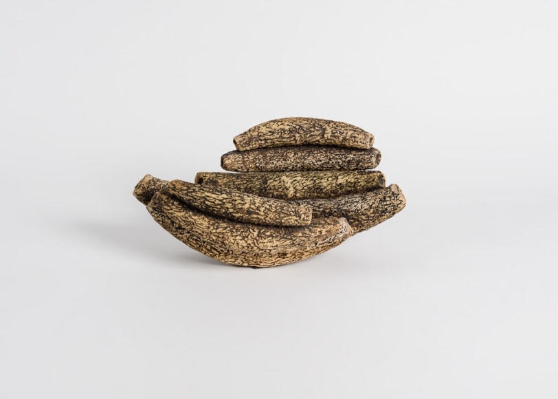 Jaime Rodriguez Crespo