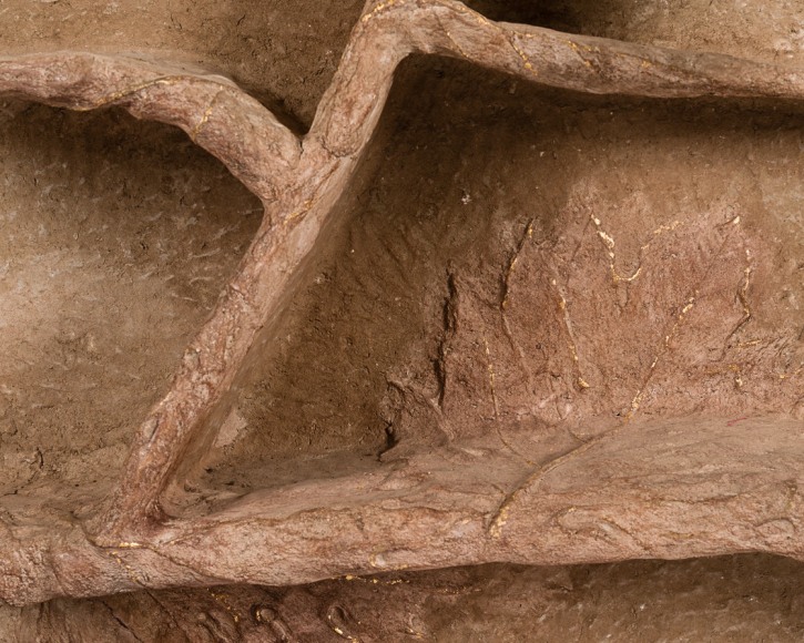 Atelier Saigon Shelving