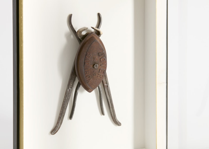 despont insect sculpture