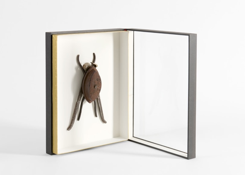 despont insect sculpture