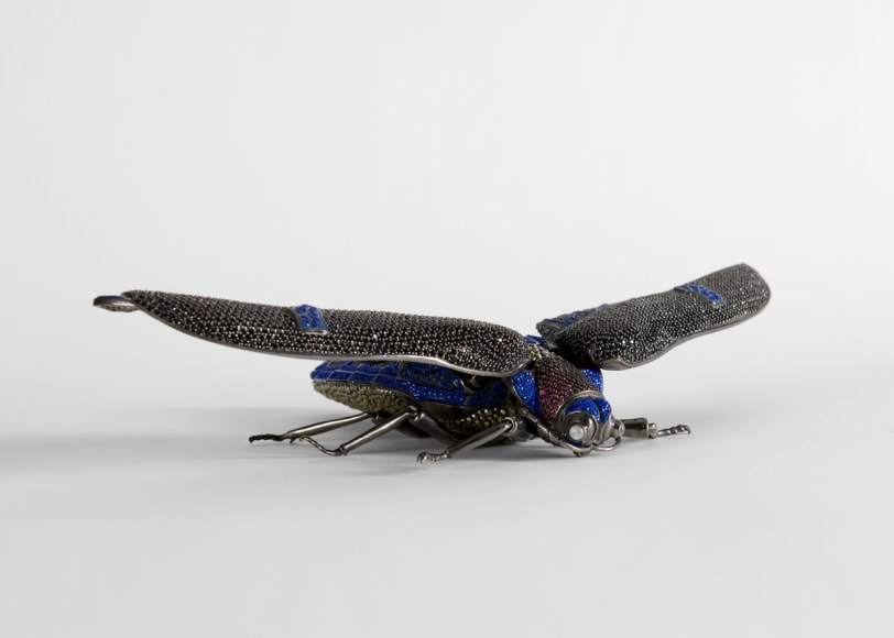 Matthew Campbell Laurenza