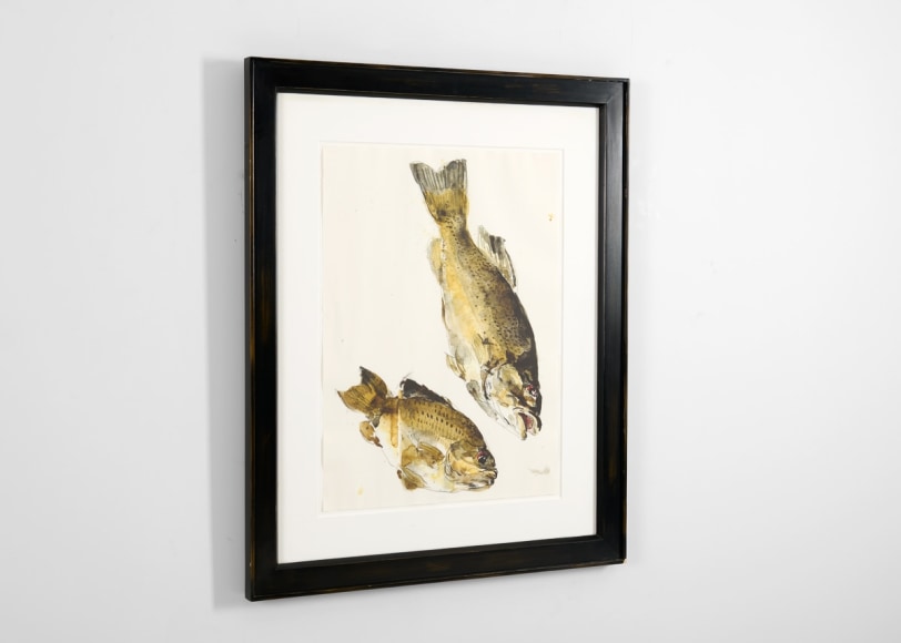 despont fish painting