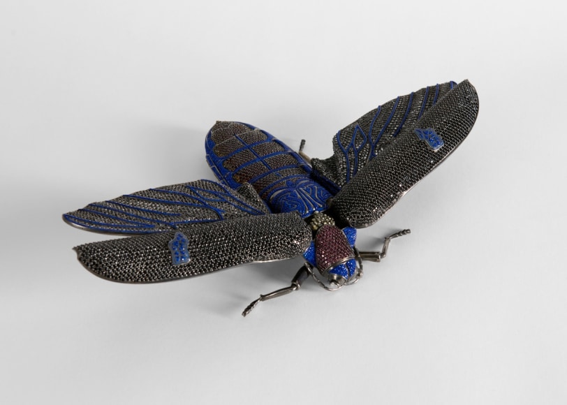 Matthew Campbell Laurenza