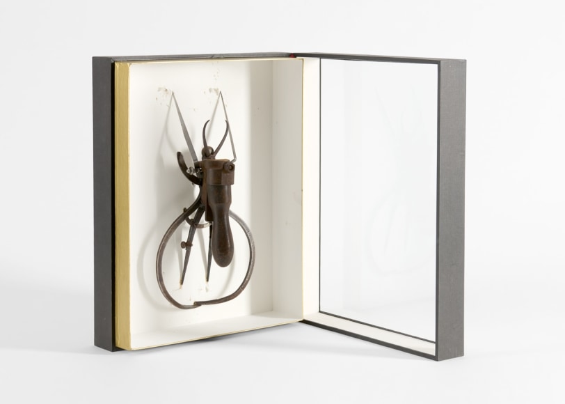 insect sculpture despont