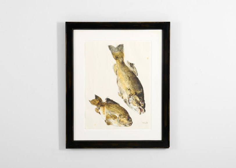 despont fish painting