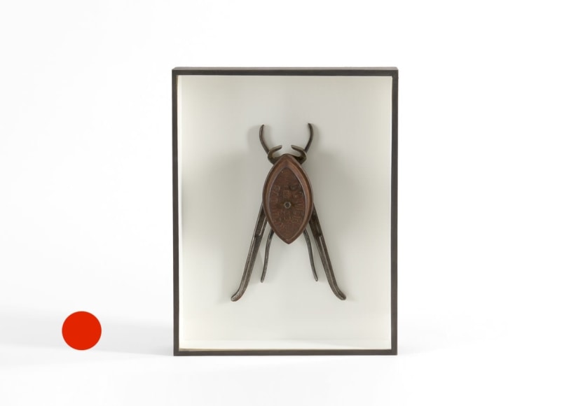 sold insect