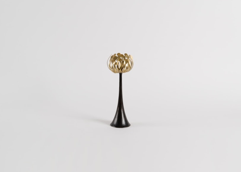 Herv&eacute; van der Straeten