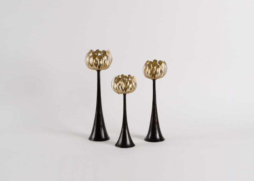 Herv&eacute; van der Straeten