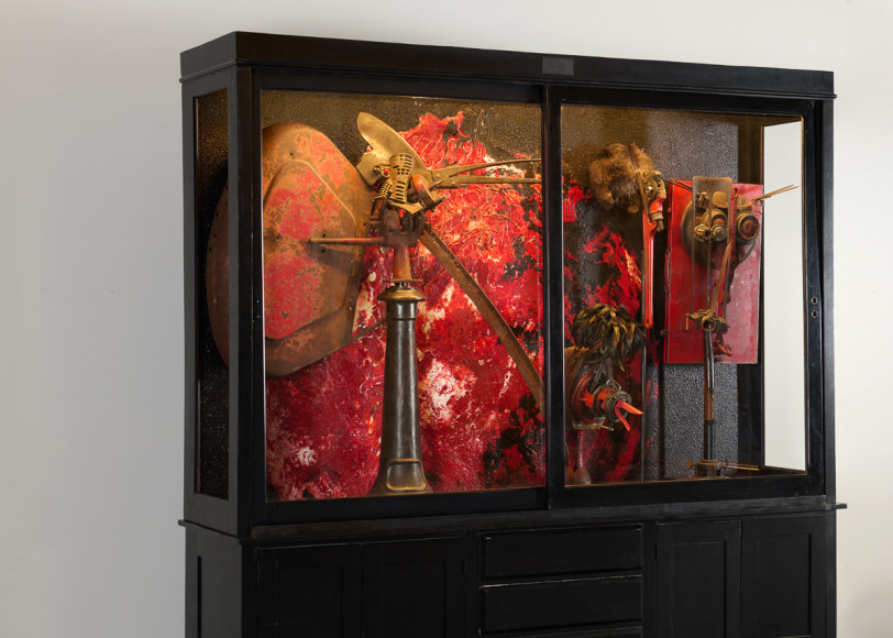 cabinet of curiosities despont