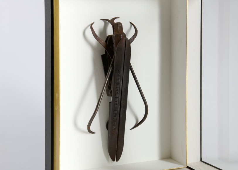 despont insect sculpture