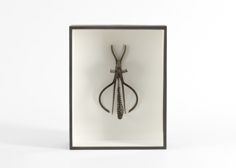 despont sculpture insect
