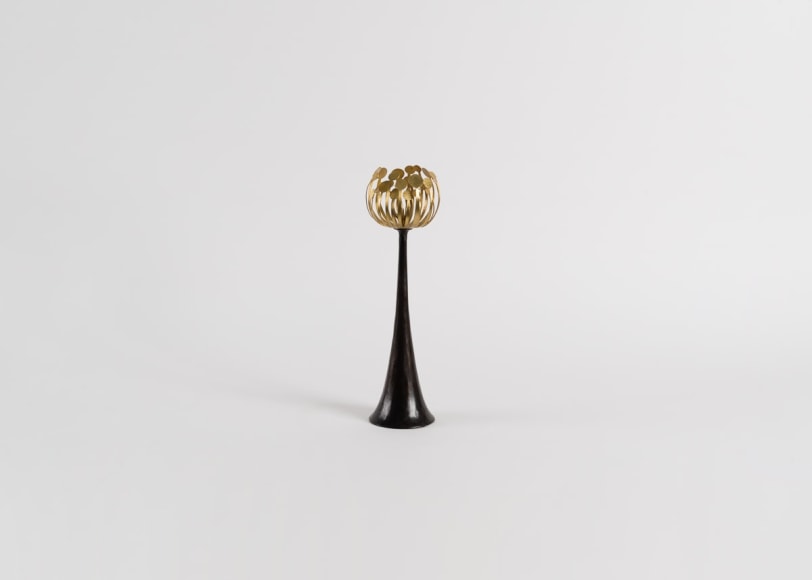 Herv&eacute; van der Straeten