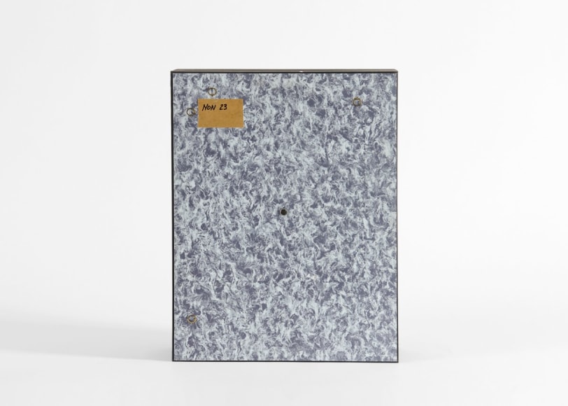 despont insect sculpture