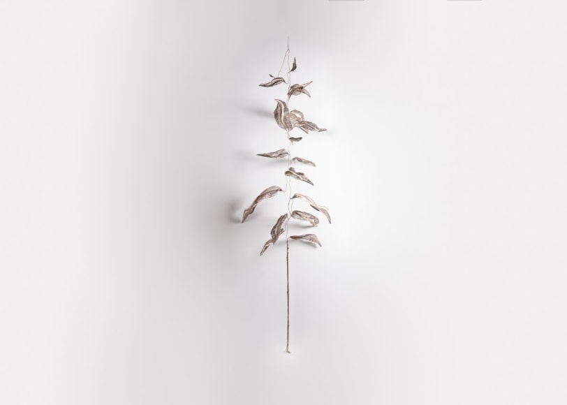 Isabelle L&eacute;ourier