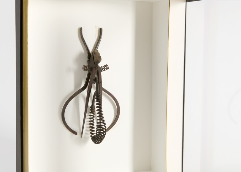 despont sculpture insect