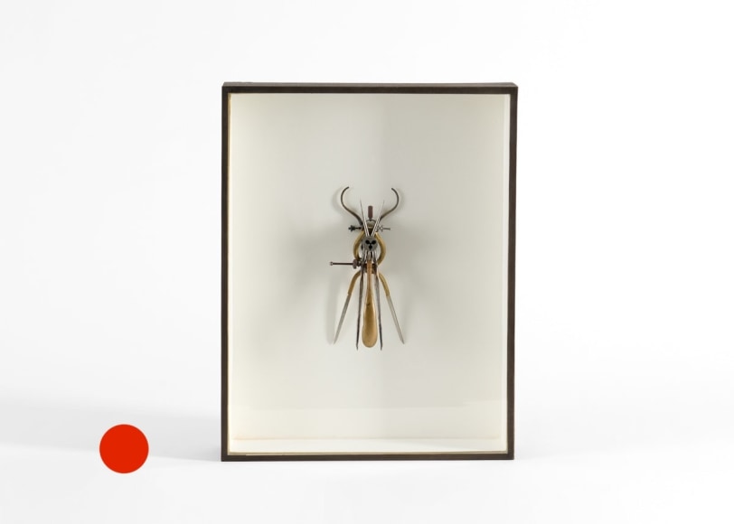 sold insect