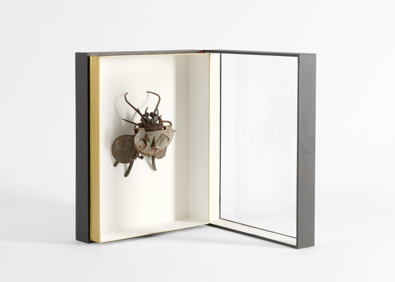 despont insect sculpture