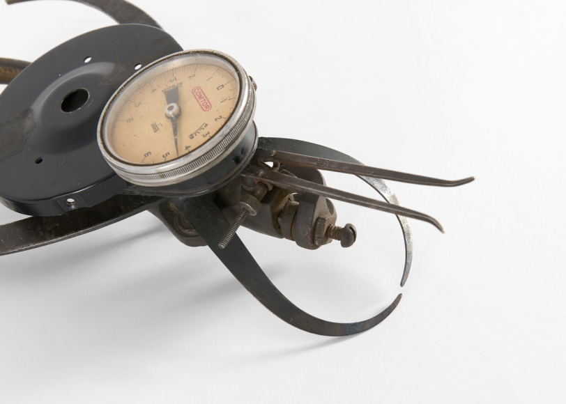 despont insect sculpture