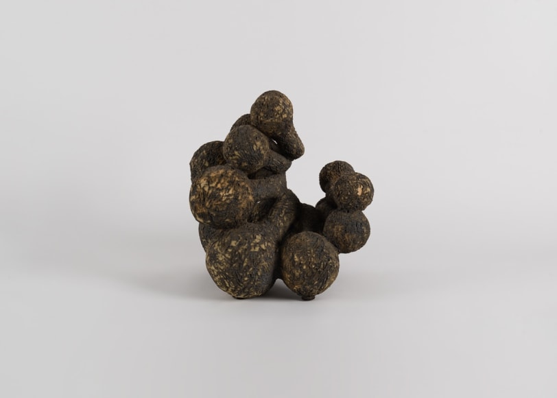 Jaime Rodriguez Crespo