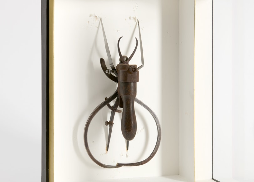 insect sculpture despont