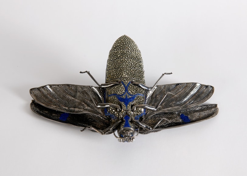 Matthew Campbell Laurenza