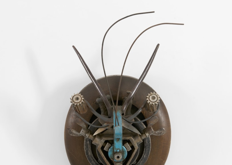despont insect sculpture