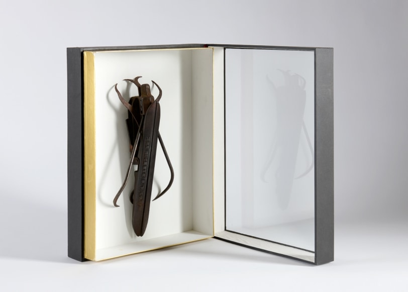 despont insect sculpture