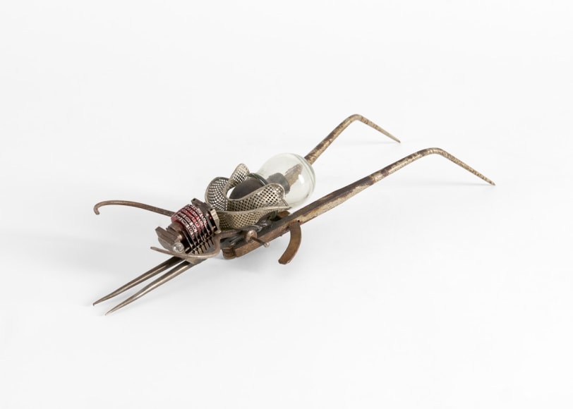 despont sculpture insect