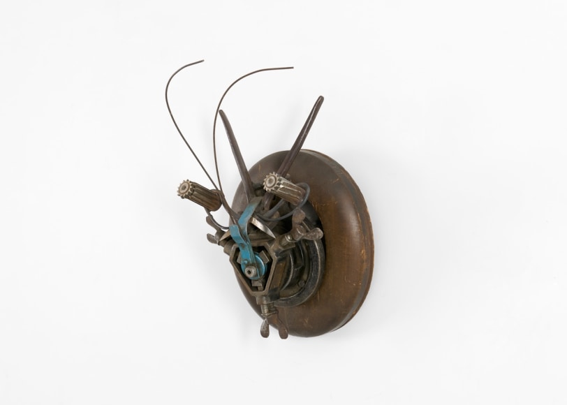 despont insect sculpture
